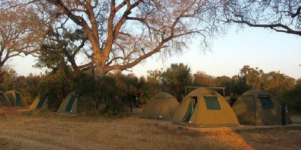 Accommodations to stay in during the Safari