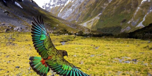 The best places to visit in New Zealand