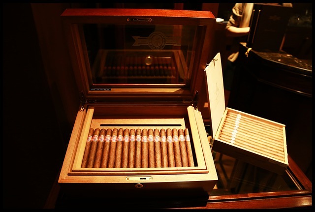 Cigar box humidor